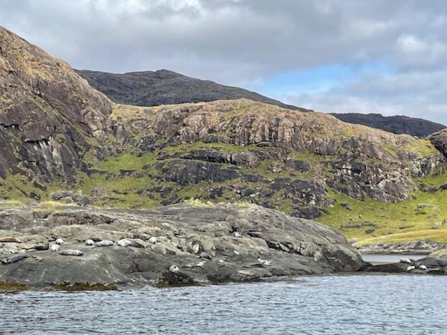Waterfall View Milovaig Luaran gambar